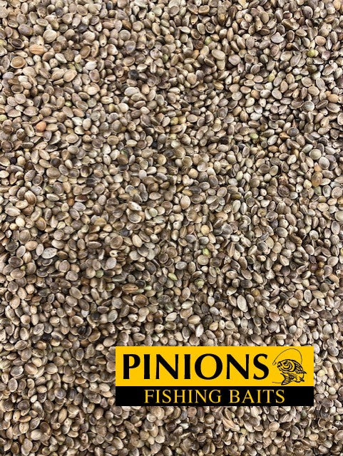 STANDARD HEMP SEED FISHING BAIT